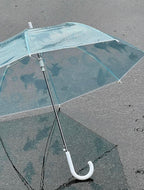 blue aquarium umbrella
