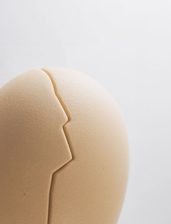 cracked egg airpod case